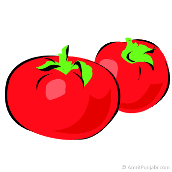 tomato - tamater